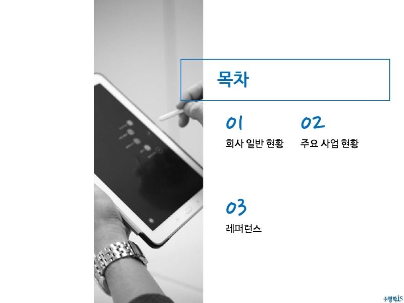 평화이즈 회사소개서.pdf_page_02.jpg