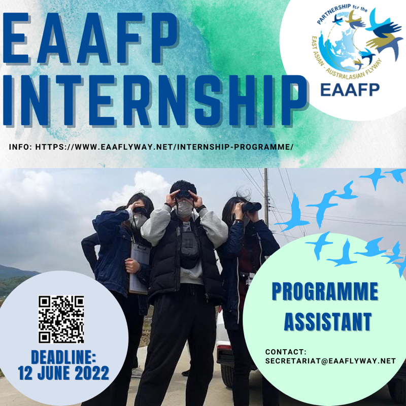 INTERNSHIP RECRUITMENT (PT & ERT).png