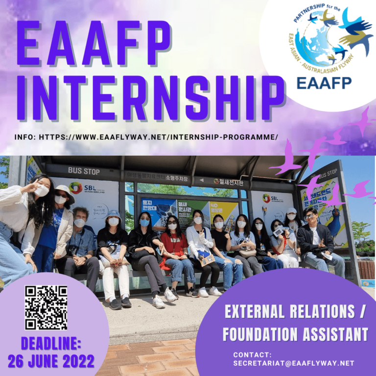 INTERNSHIP-RECRUITMENT-ERT.png