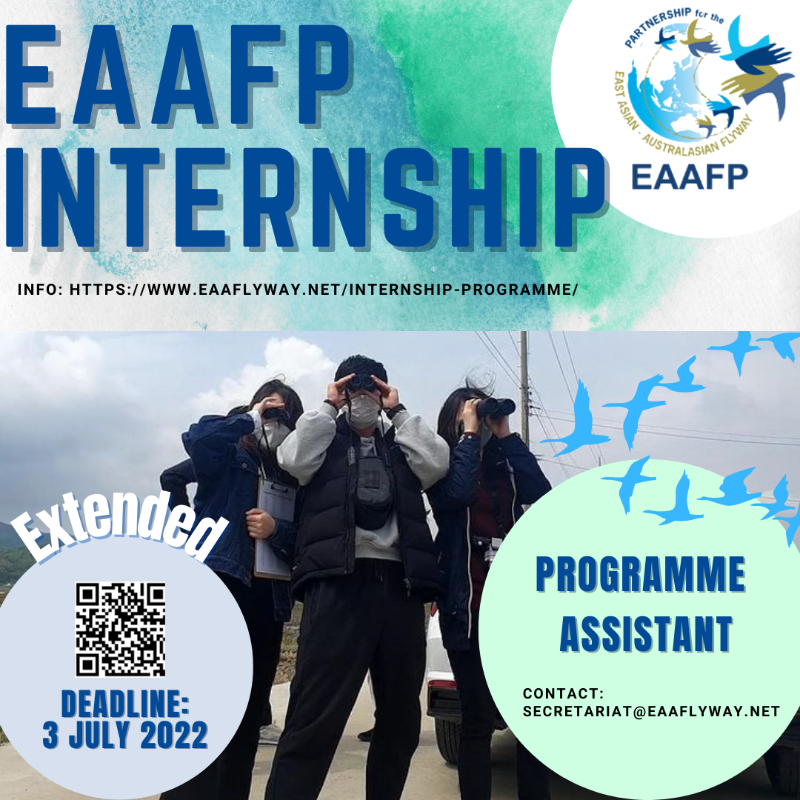 INTERNSHIP RECRUITMENT (PT)_Revised.png